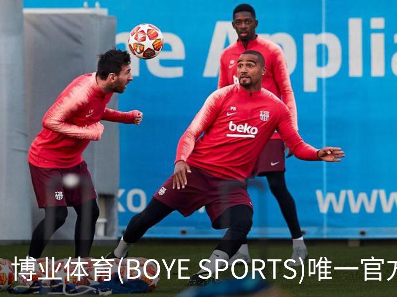 博业体育(BOYE SPORTS)唯一官方网站概况